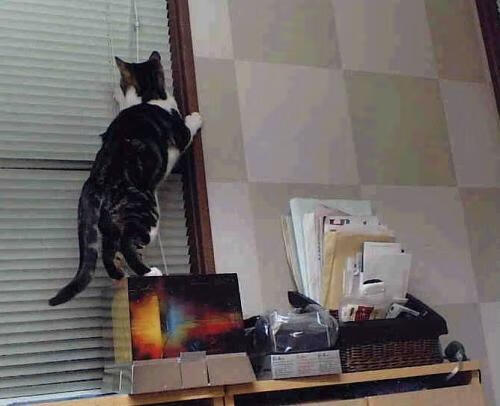 AYX体育官网-中超新赛季观众上座率稳步回升,中超联赛观众