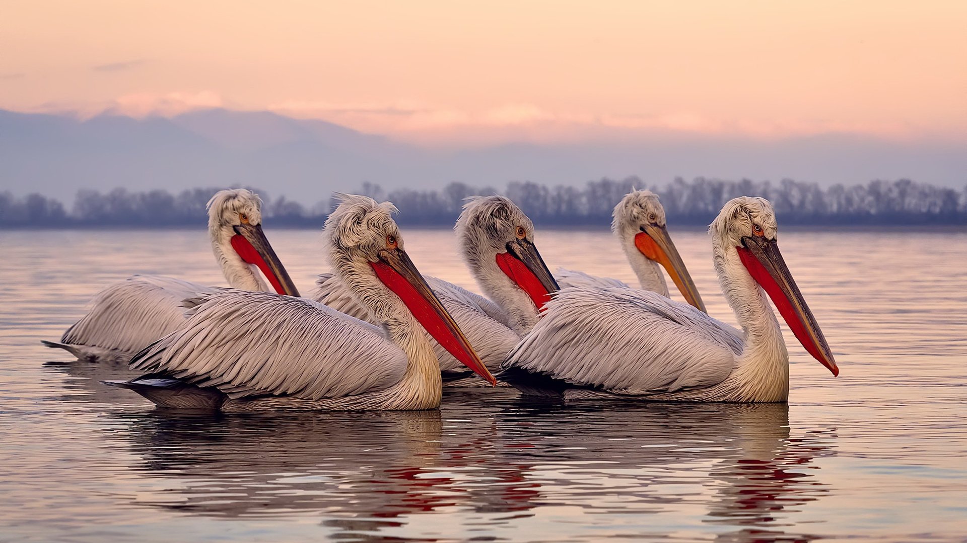 爱游戏体育app网页版下载-伊朗足球队自带暖炉进场,成冬奥最“热”球队,伊朗足球队主场