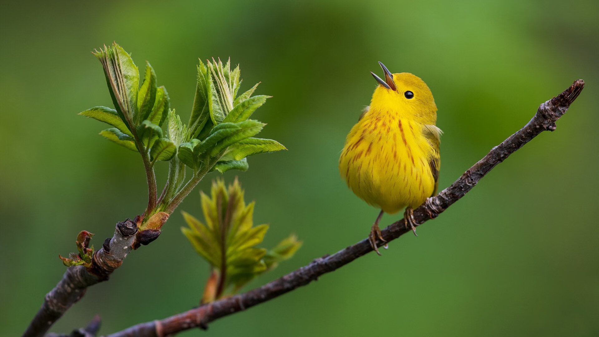 爱游戏app-中国家庭足球计划启动,普及足球运动,中国家庭的进球